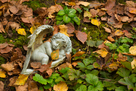 small stone baby angel in graveyard