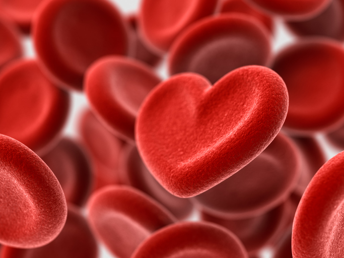 red blood cells - with one heart-shaped - concept of blood transfusion