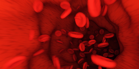 illustration of interior of a blood vessel