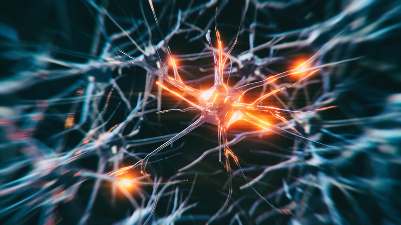 illustration of neurons lighting up in the brain