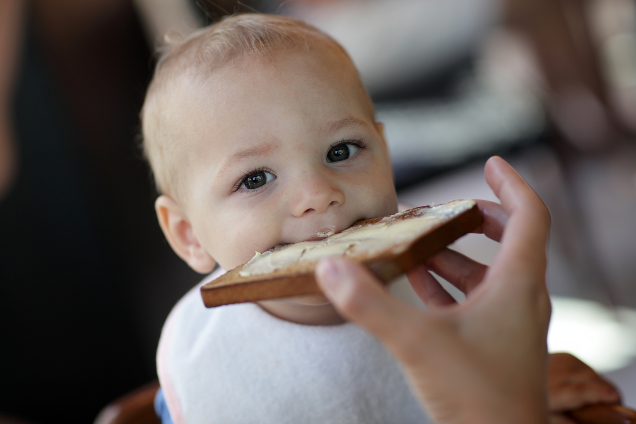 Child eating toast