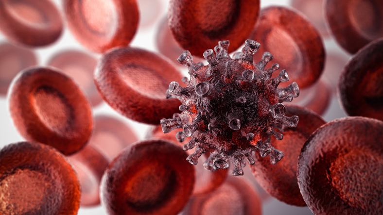 coronavirus and red blood cells