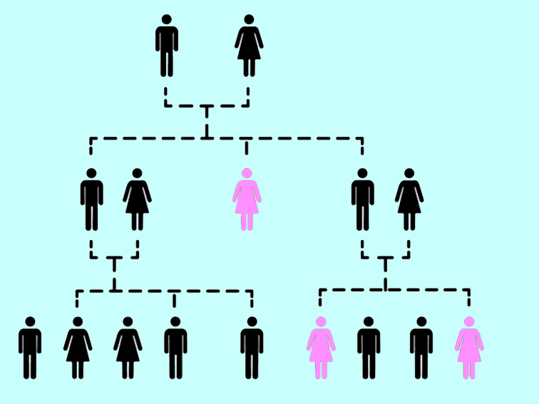 family tree with women with breast cancer in pink