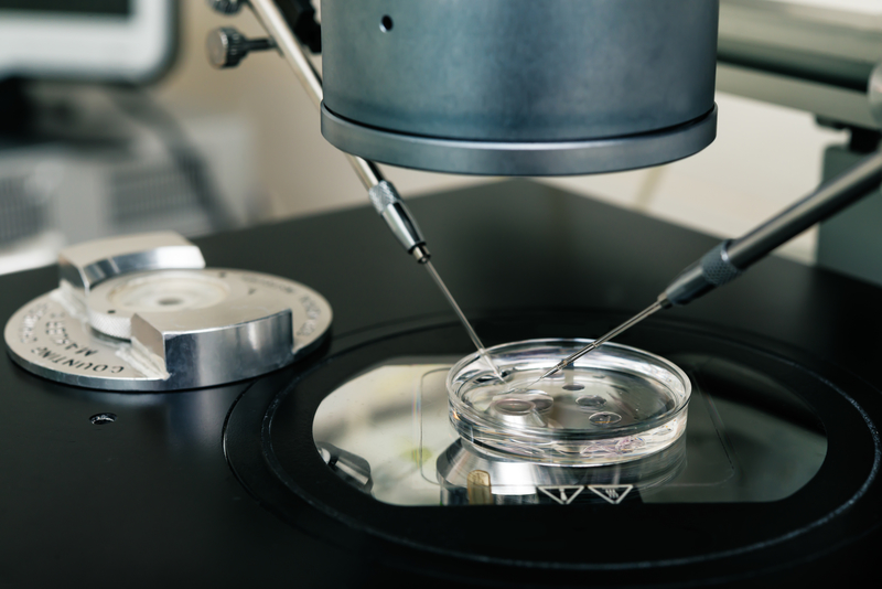 IVF: cells being manipulated udner a microscope