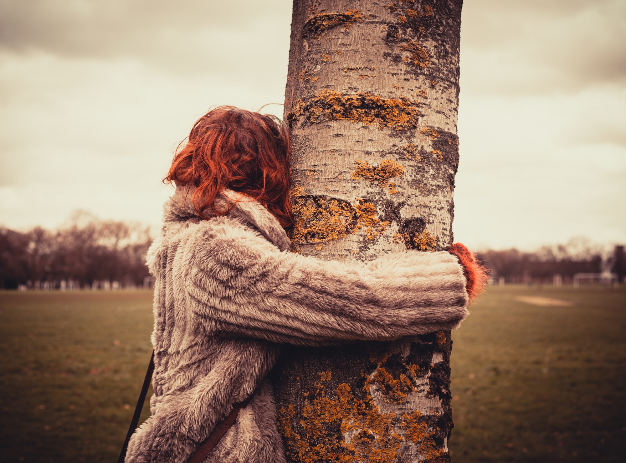 Tree-hugging