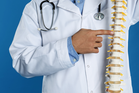 doctor pointing at model of spine