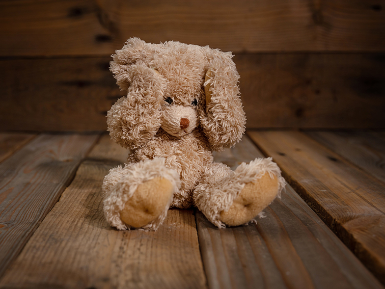 Teddy, child abuse/trauma